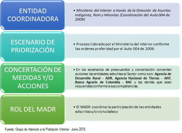 Información auto 004 de 2009