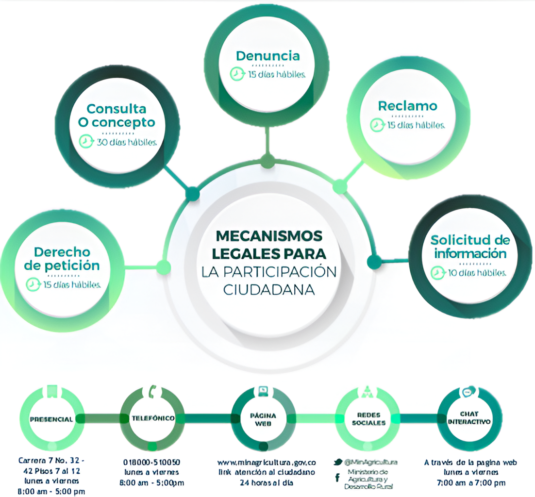 Participación Ciudadana