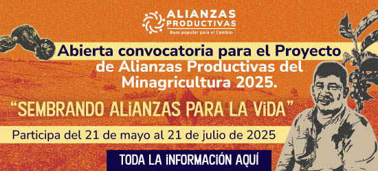 Alianzas_web.jpg