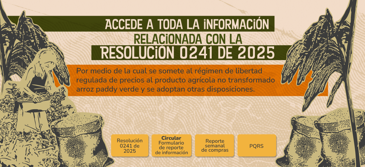 BANNER-RESOLUCION-DE-ARROZ(3)