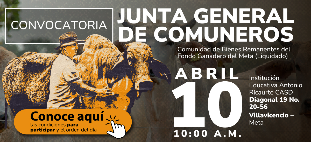 Banner-Junta Comuneros