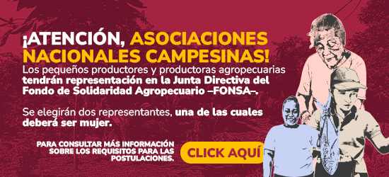 BANNER_ASOCIACIONES-CAMPESINAS.jpg