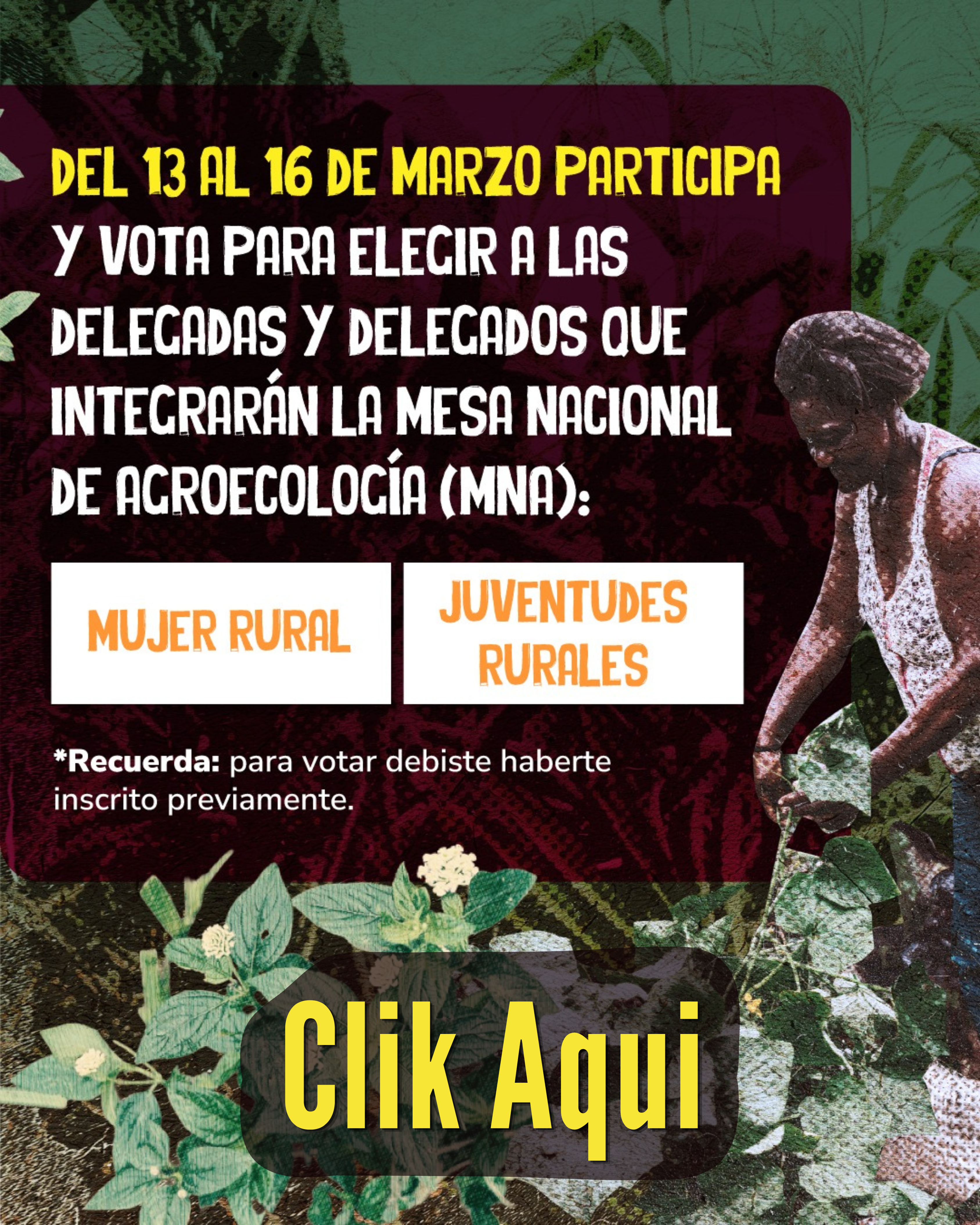 WhatsApp Image 2026-03-12 at 16.33.42.jpeg