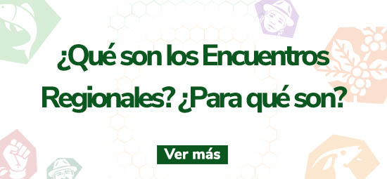 Boton Encuentros Regionales.jpg