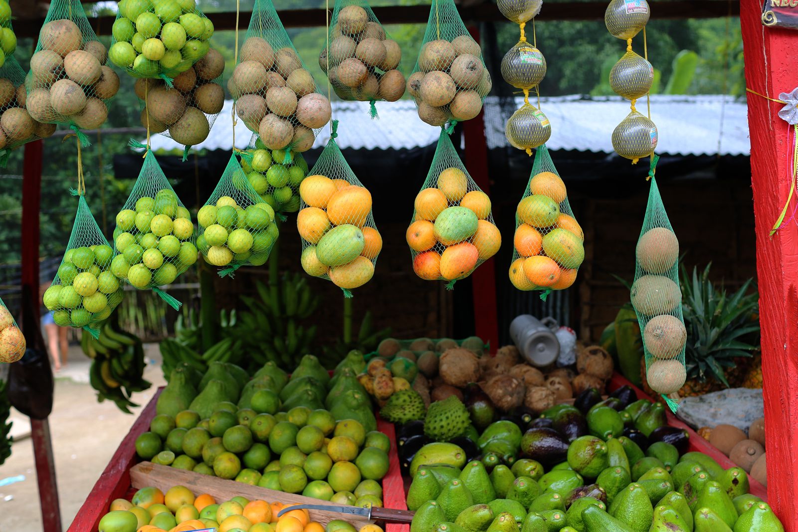 alimentos marzo1.jpg