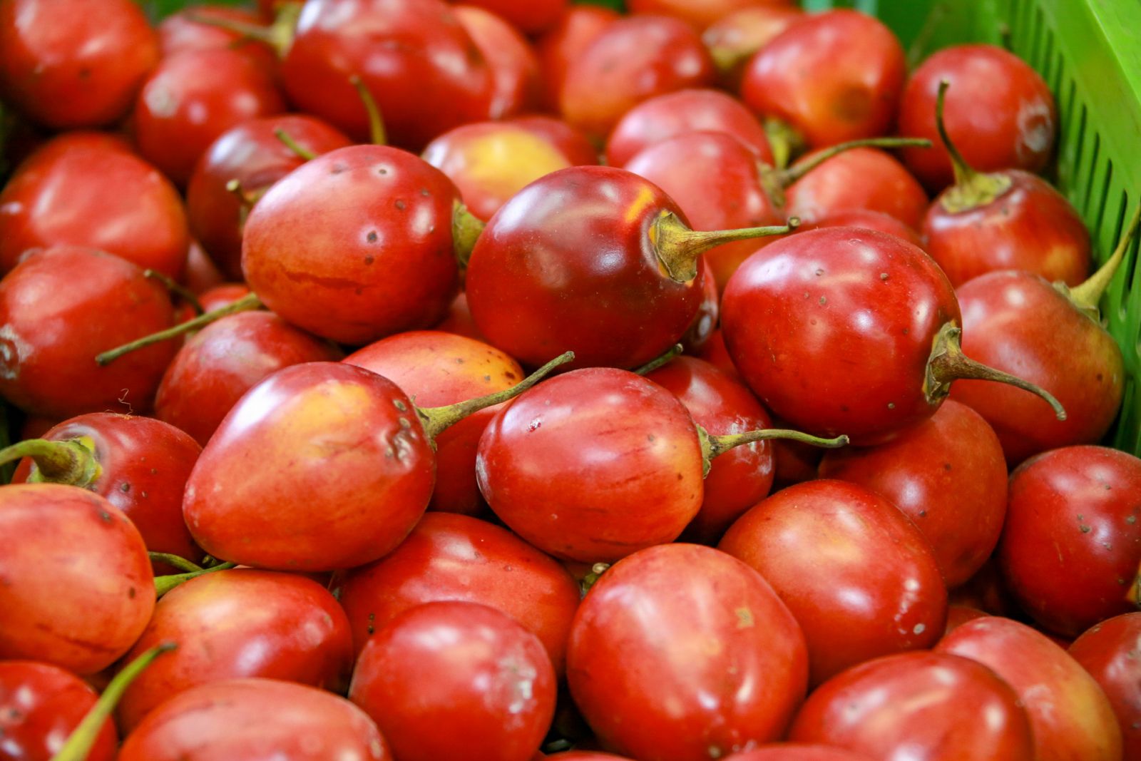 alimentos marzo2.jpg